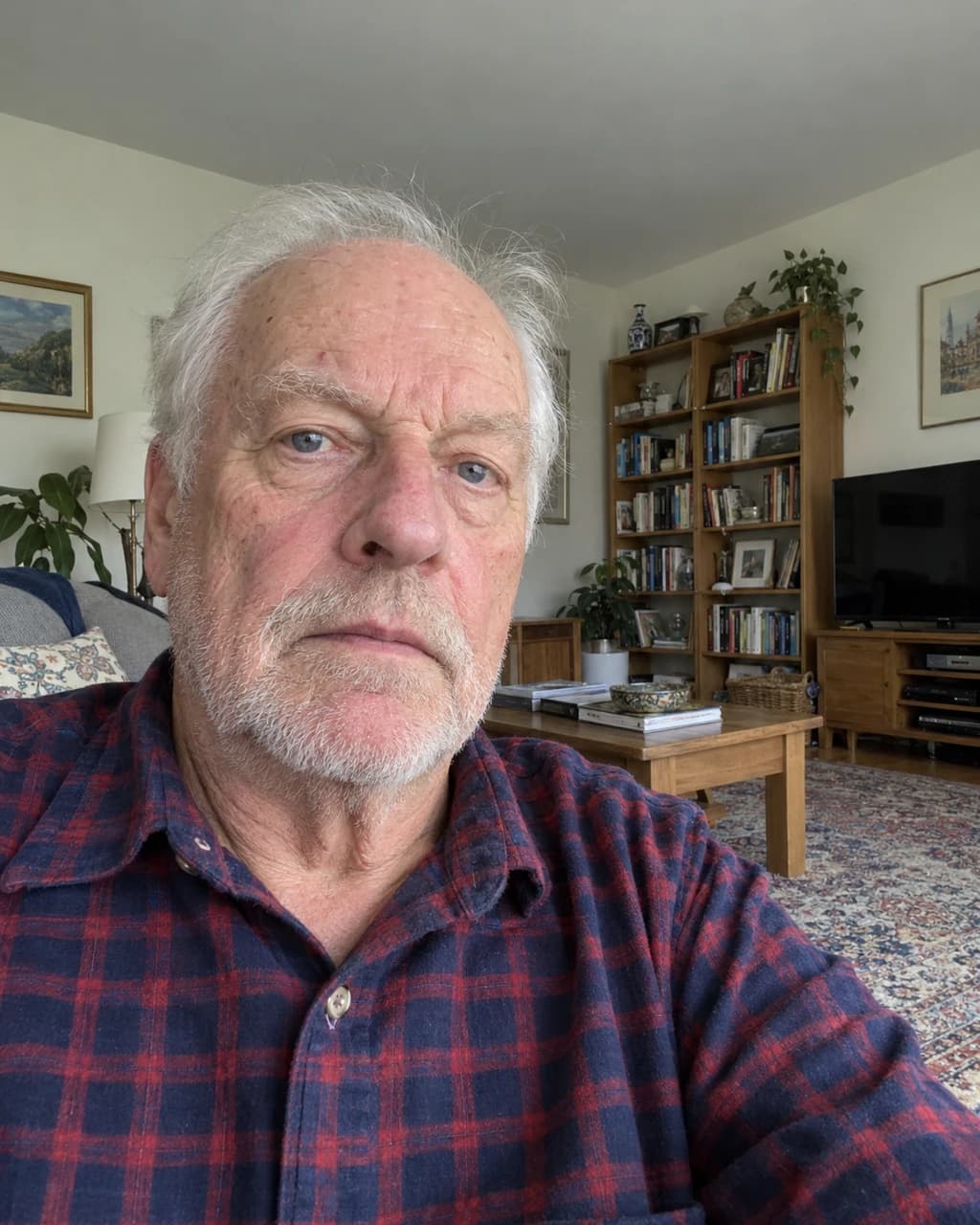 Example person 8: a selfie of a man in his seventies with thinning white hair and pale blue eyes, in a plaid shirt in a living room.